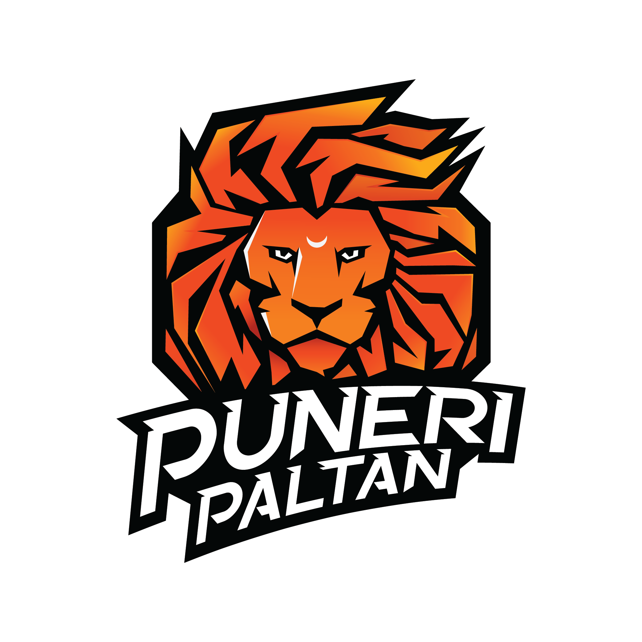 Puneri Paltan
